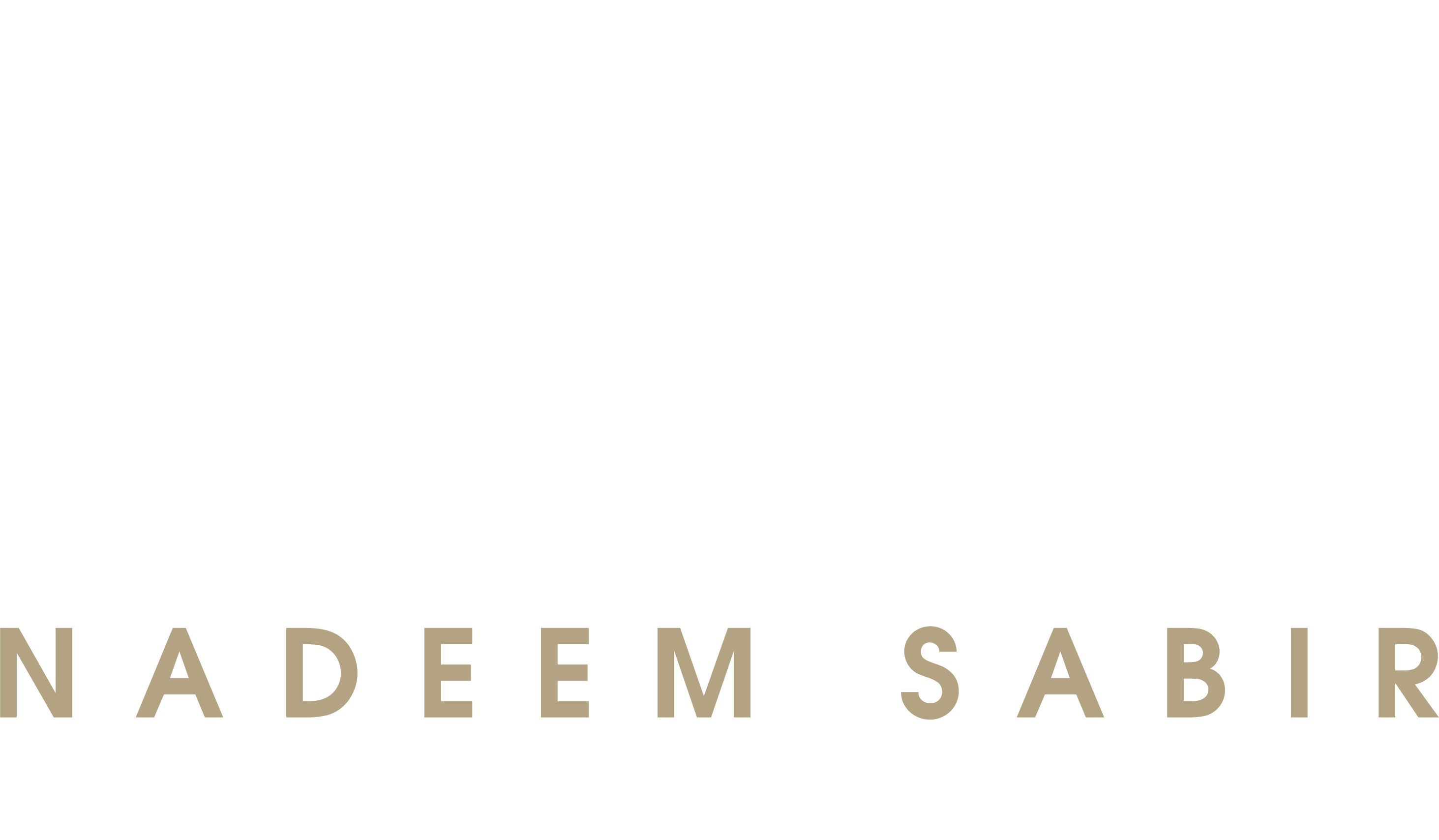 Dr Nadeem Sabir Logo